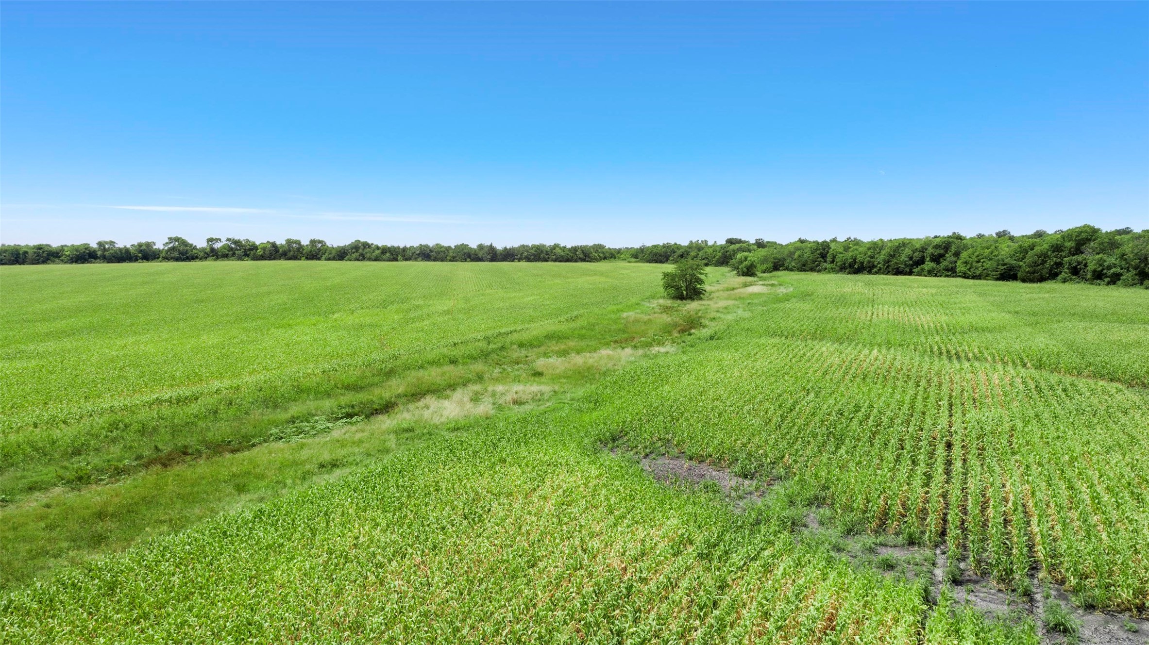 104.98 Acres Cr-1067 Greenville TX 75401