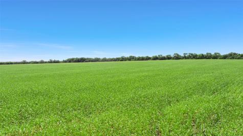 104.98 Acres Cr-1067 Greenville TX 75401