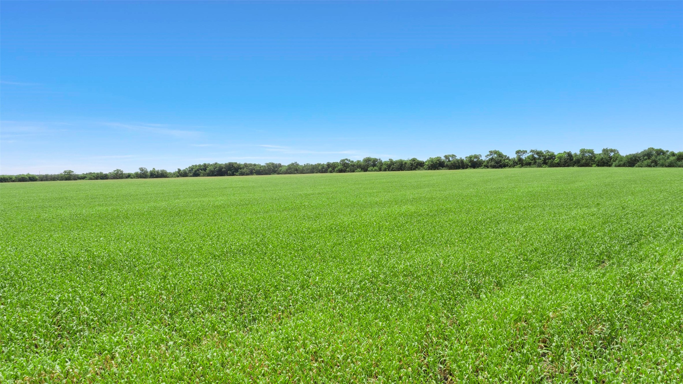 104.98 Acres Cr-1067 Greenville TX 75401
