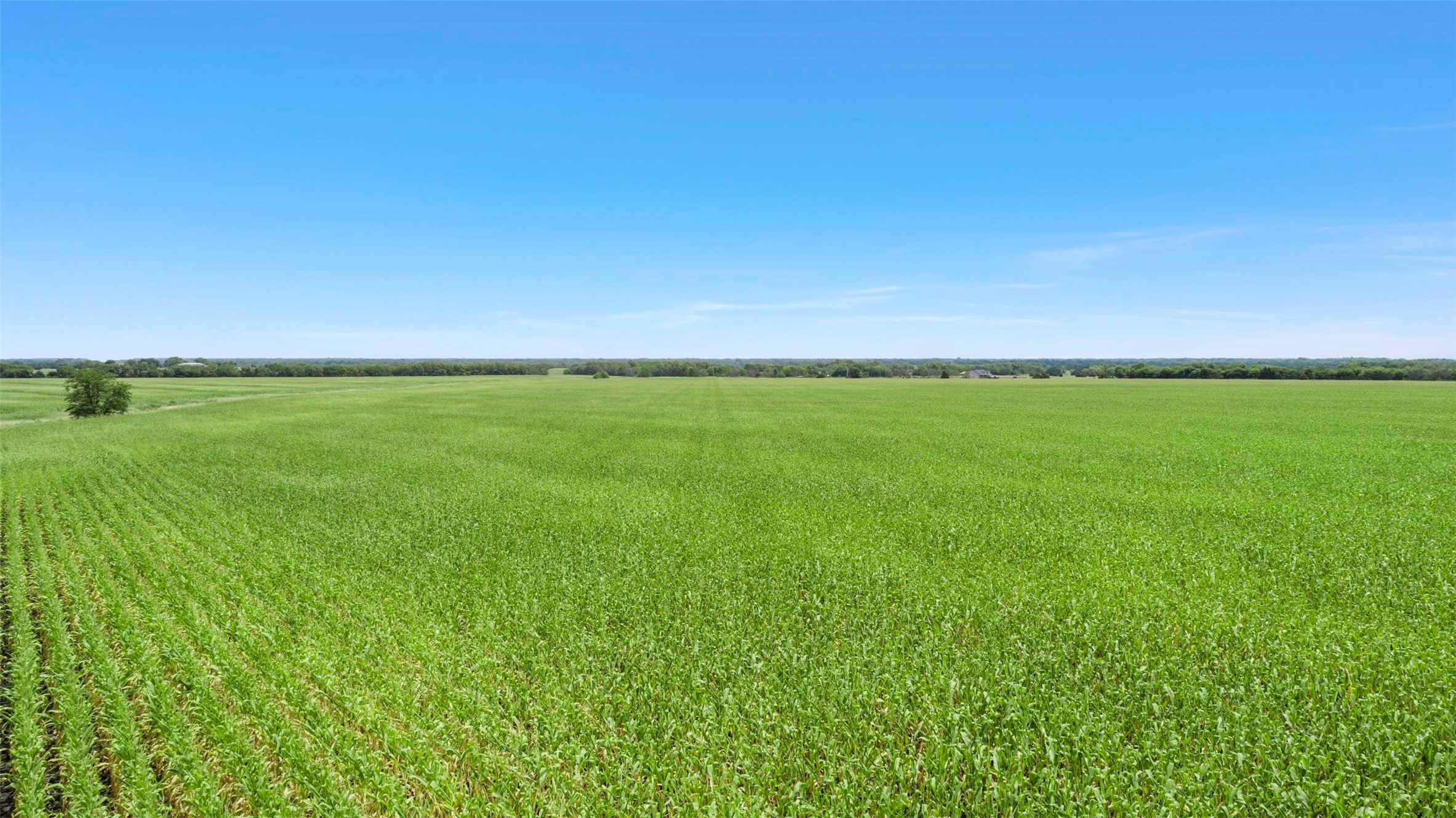 104.98 Acres Cr-1067 Greenville TX 75401