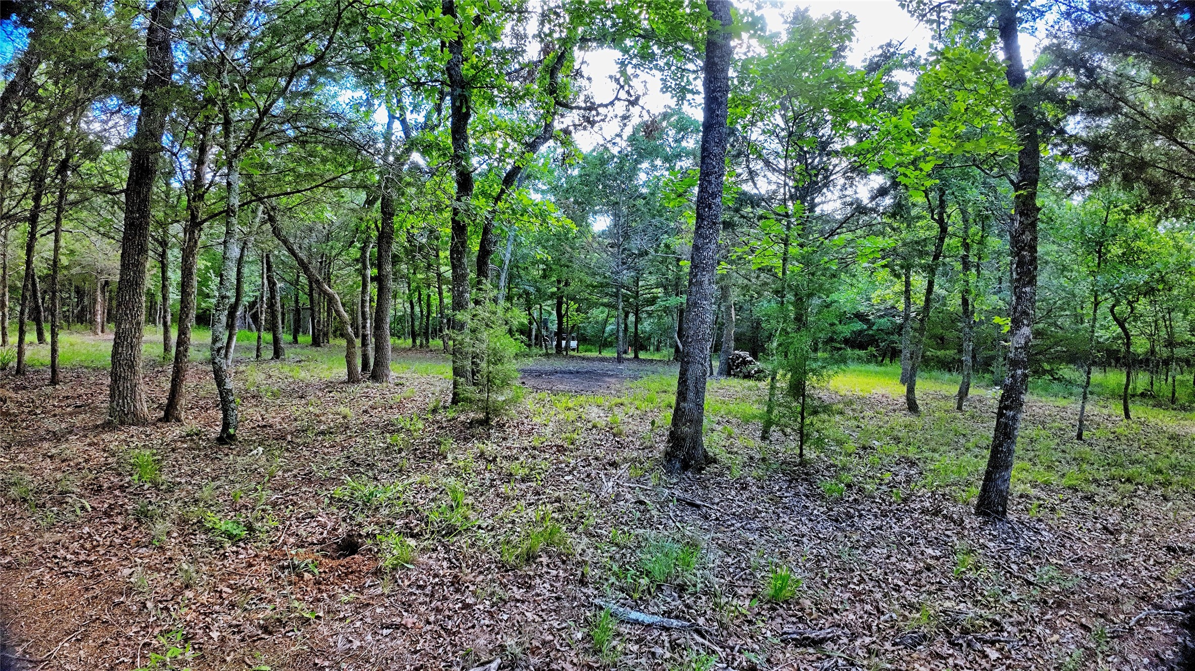 Tbd Oak Cove Court Bowie TX 76230