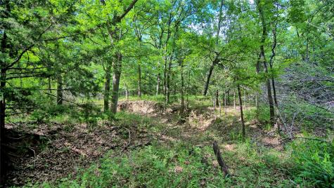 Tbd Oak Cove Court Bowie TX 76230