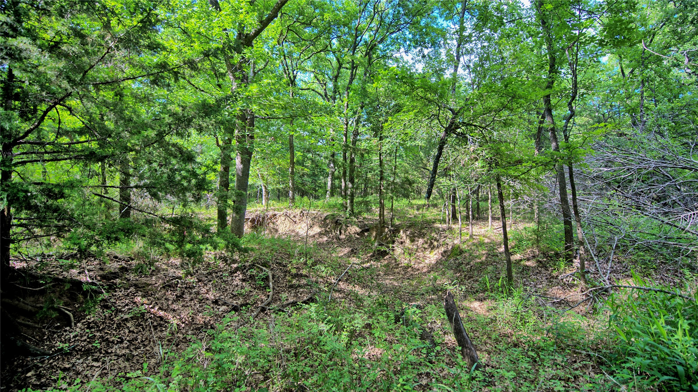 Tbd Oak Cove Court Bowie TX 76230