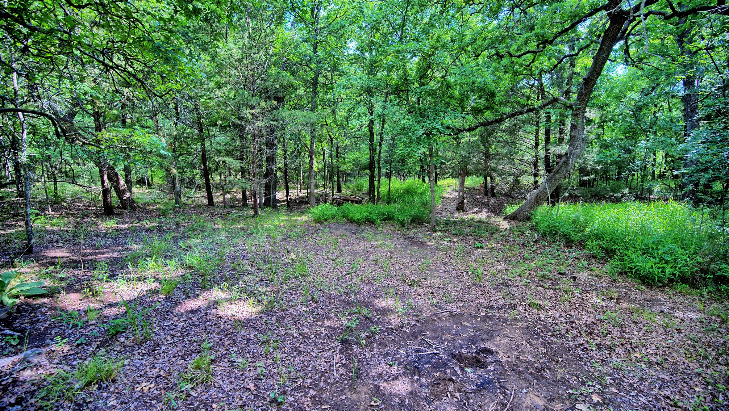 Tbd Oak Cove Court Bowie TX 76230
