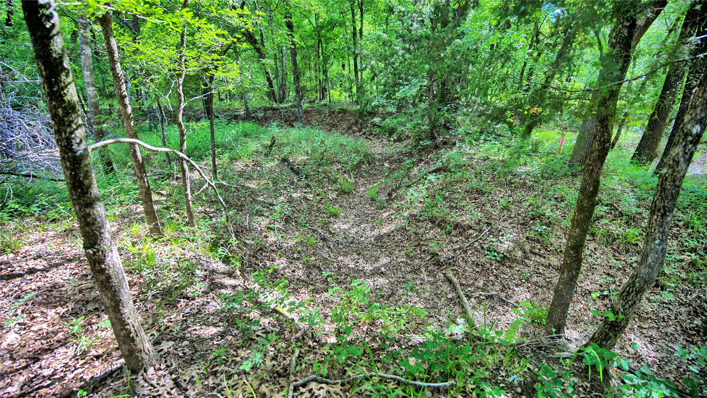 Tbd Oak Cove Court Bowie TX 76230