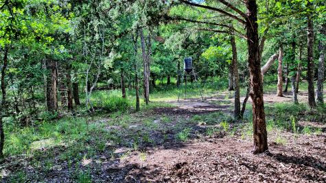 Tbd Oak Cove Court Bowie TX 76230