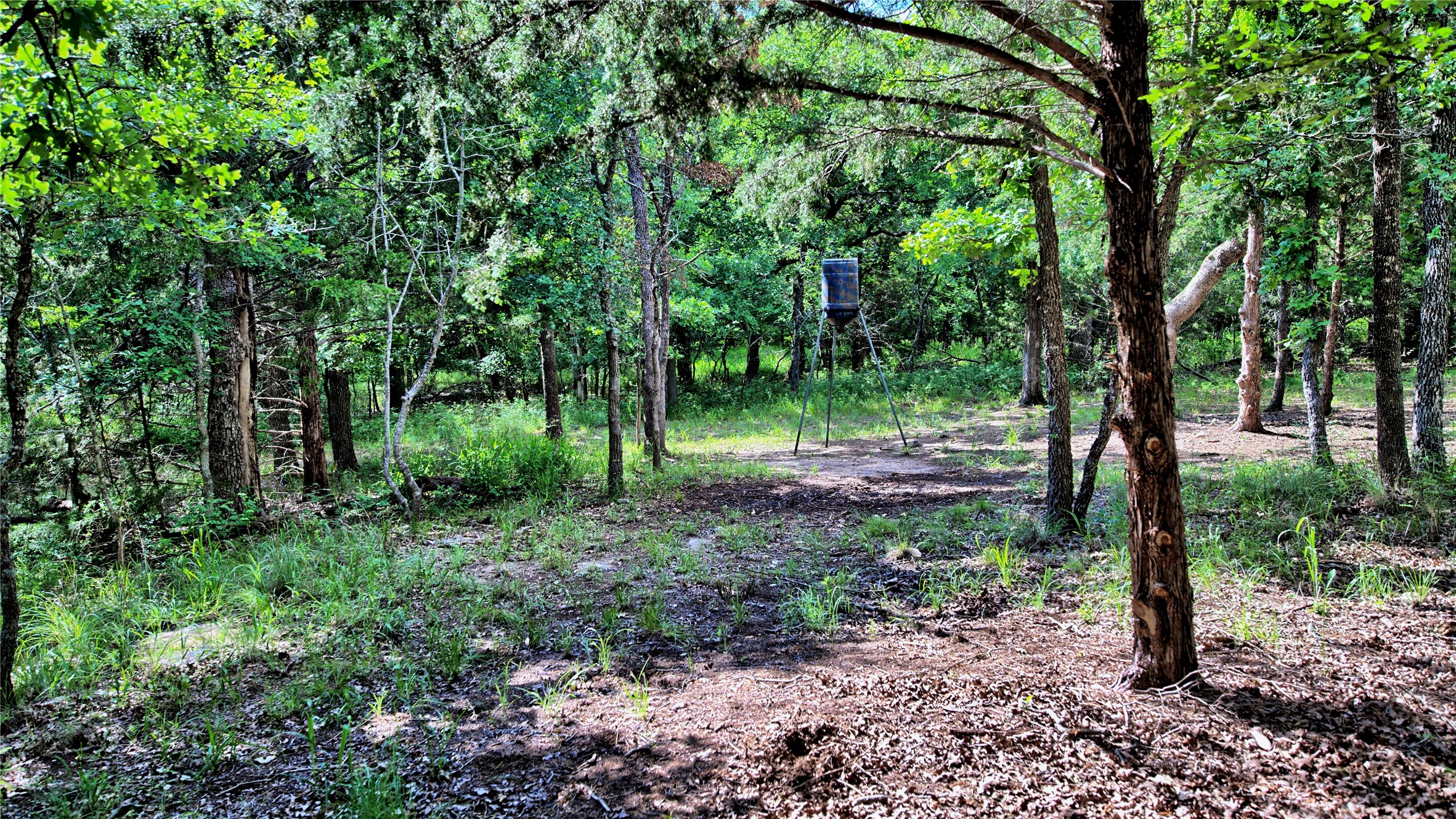 Tbd Oak Cove Court Bowie TX 76230