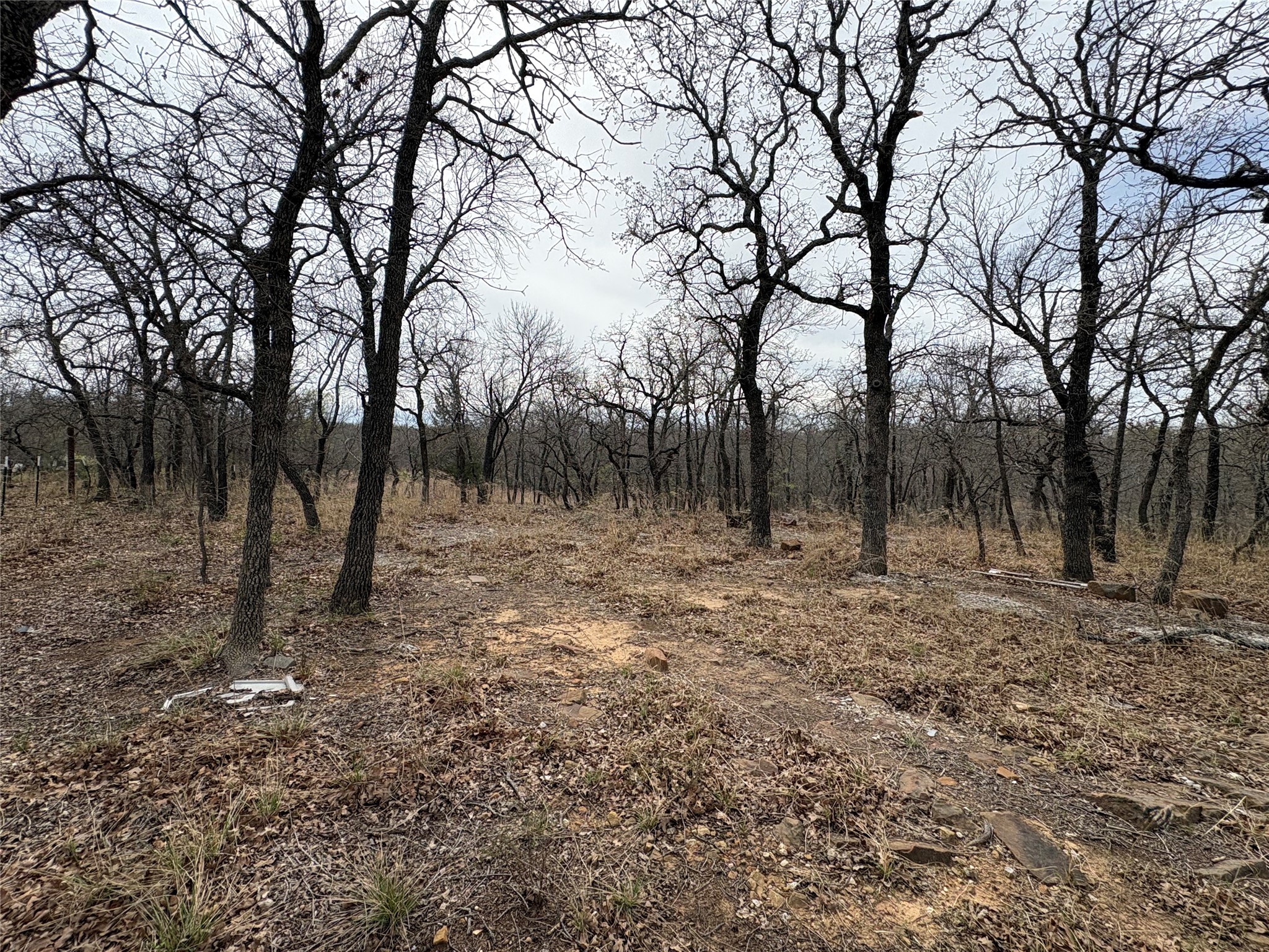 Tbd Private Road 1735 Road Chico TX 76431