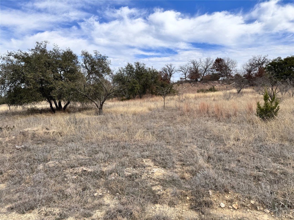 Tbd Lot 196 Carie Drive Brownwood TX 76801