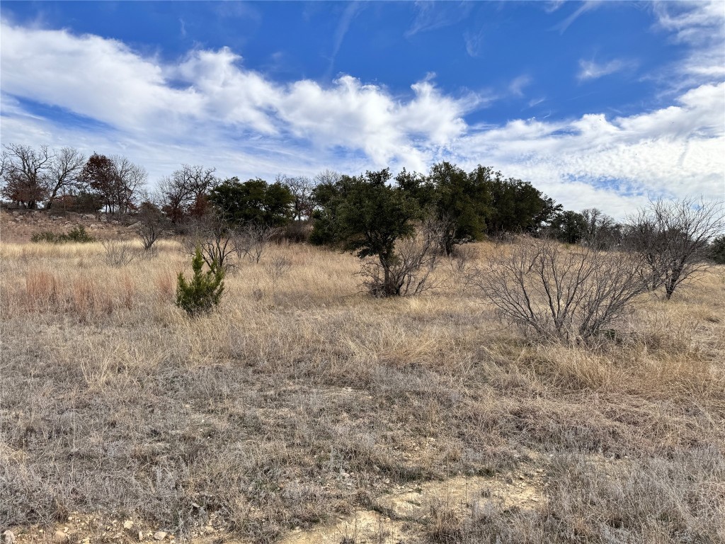 Tbd Lot 196 Carie Drive Brownwood TX 76801