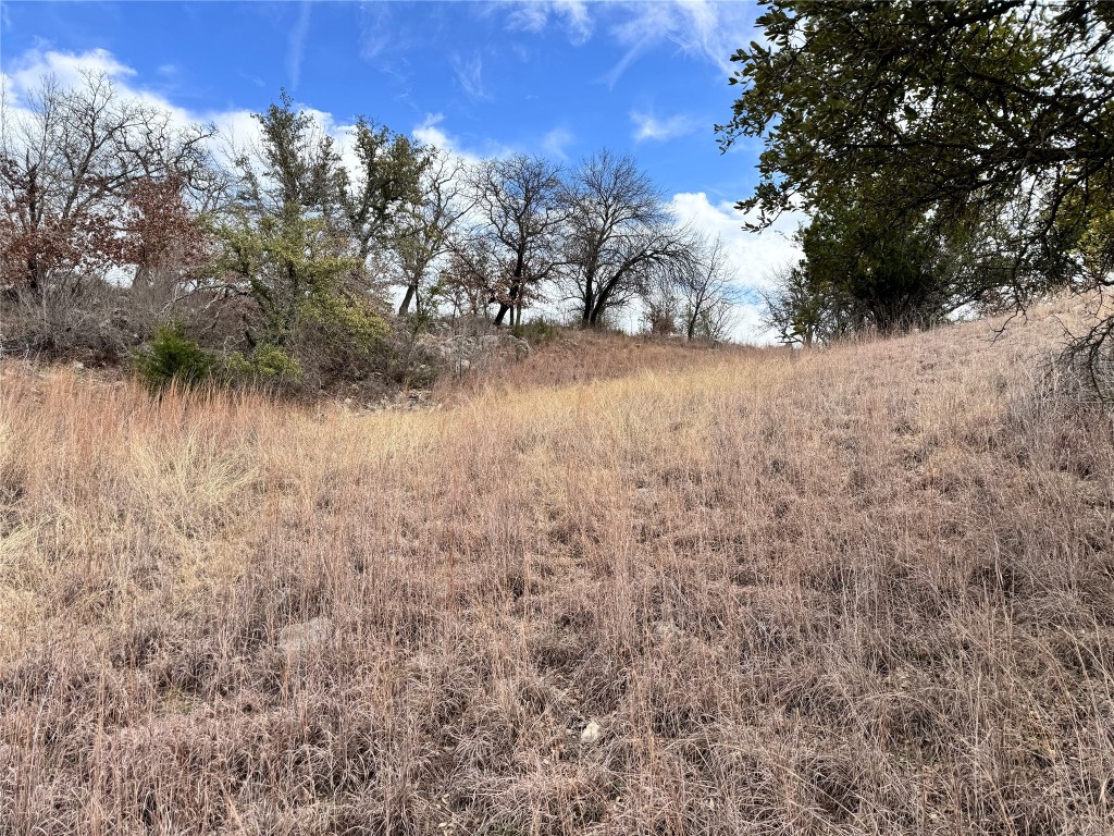 Tbd Lot 196 Carie Drive Brownwood TX 76801
