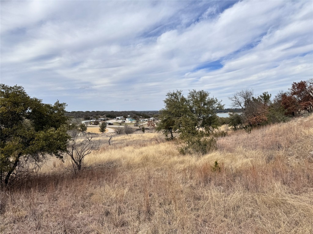Tbd Lot 196 Carie Drive Brownwood TX 76801