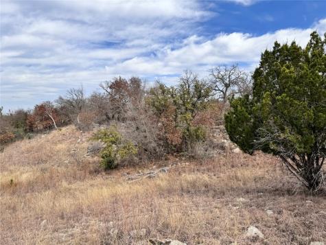 Tbd Lot 196 Carie Drive Brownwood TX 76801