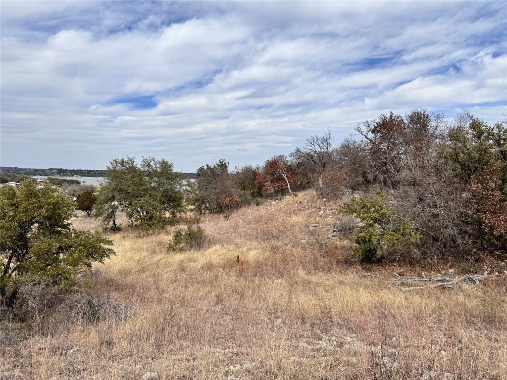 Tbd Lot 196 Carie Drive Brownwood TX 76801