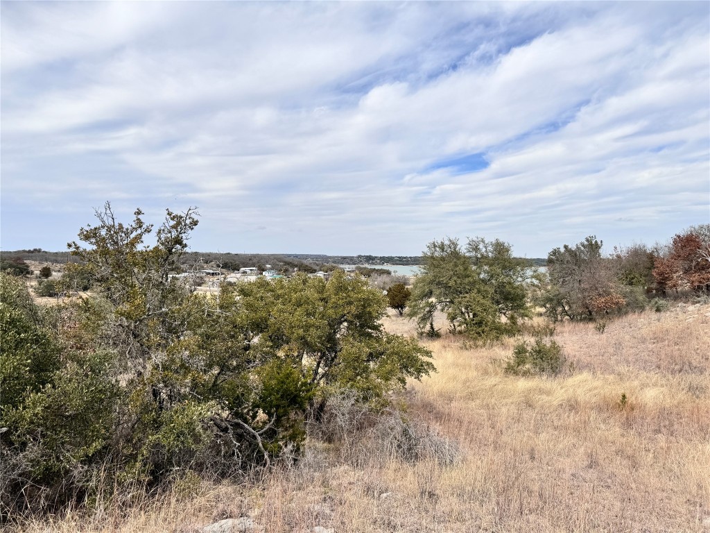 Tbd Lot 196 Carie Drive Brownwood TX 76801