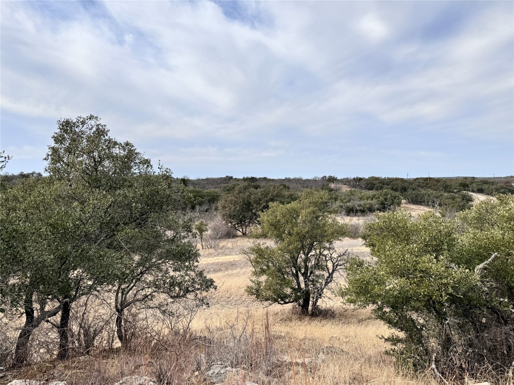 Tbd Lot 196 Carie Drive Brownwood TX 76801
