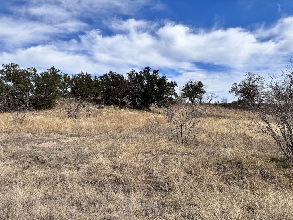 Tbd Lot 196 Carie Drive Brownwood TX 76801