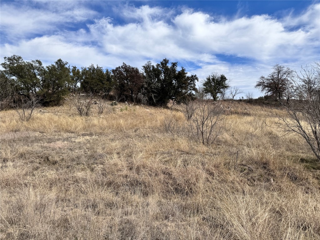 Tbd Lot 196 Carie Drive Brownwood TX 76801