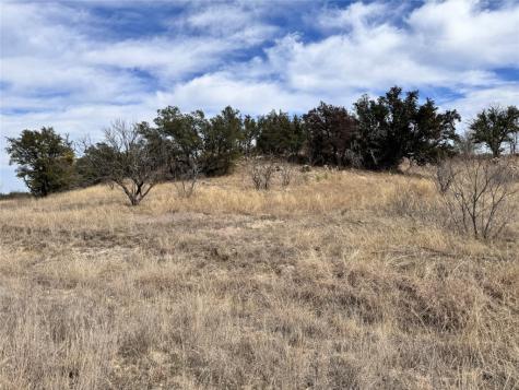 Tbd Lot 196 Carie Drive Brownwood TX 76801