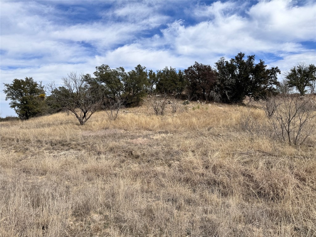 Tbd Lot 196 Carie Drive Brownwood TX 76801