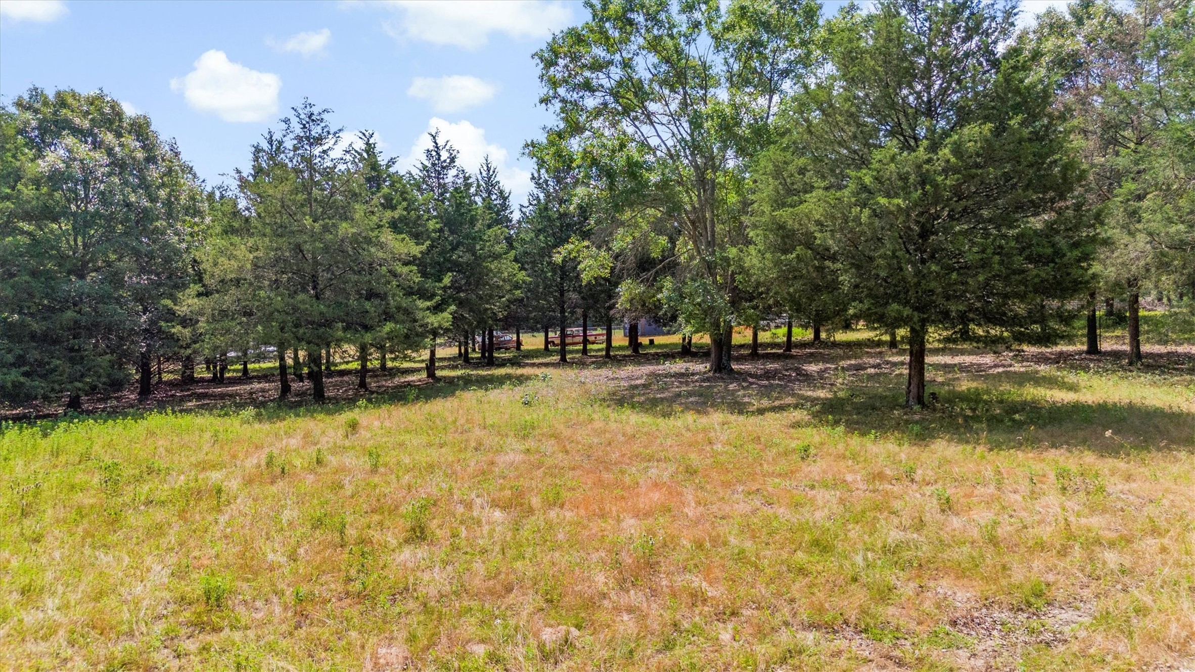 000 Vz County Road 4505 Ben Wheeler TX 75754