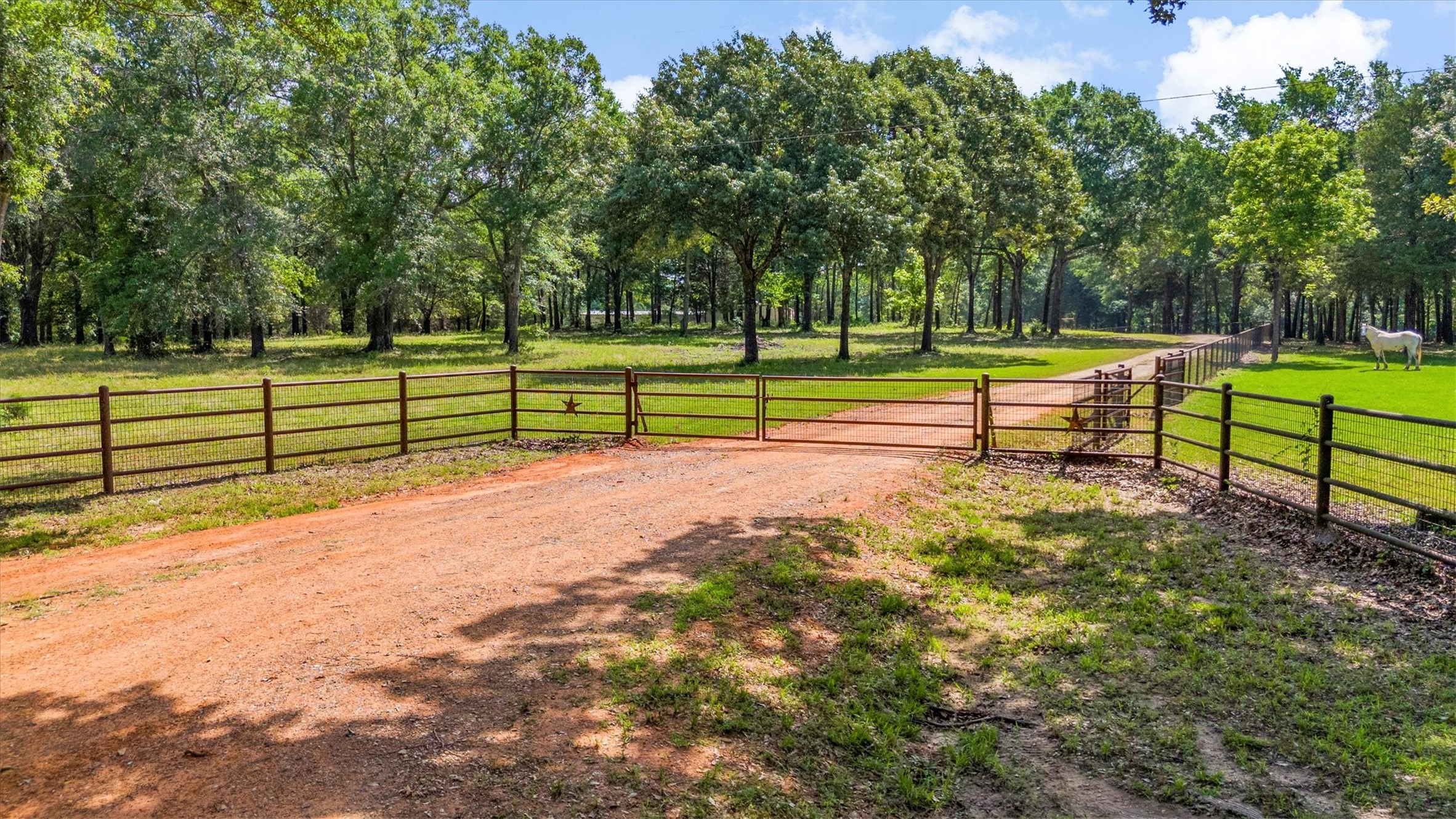 000 Vz County Road 4505 Ben Wheeler TX 75754