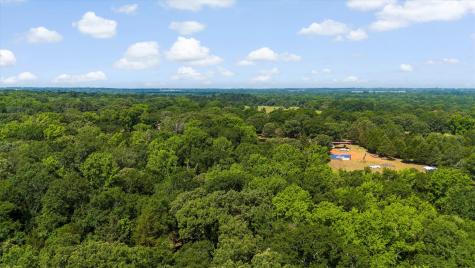 000 Vz County Road 4505 Ben Wheeler TX 75754