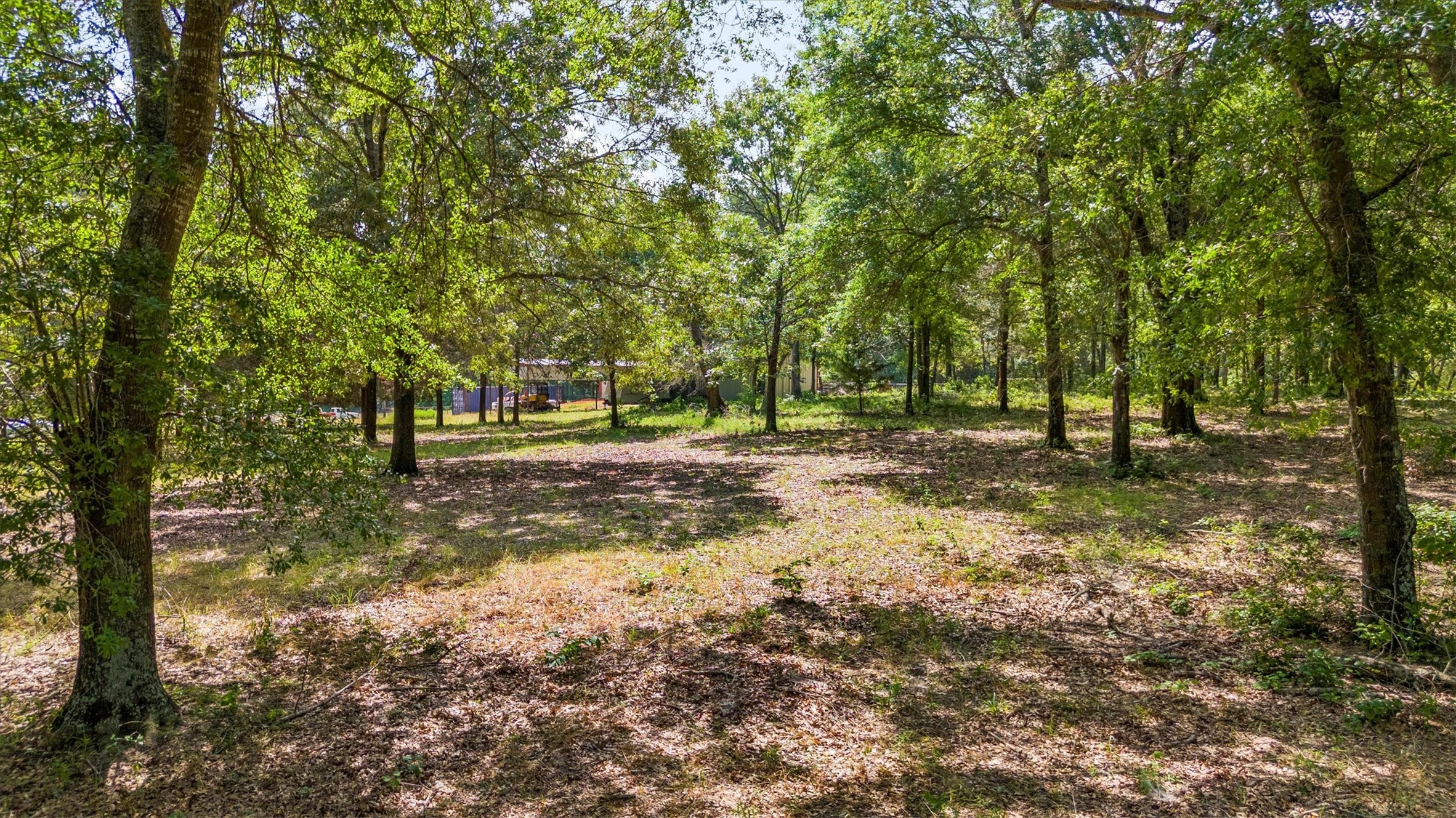 000 Vz County Road 4505 Ben Wheeler TX 75754