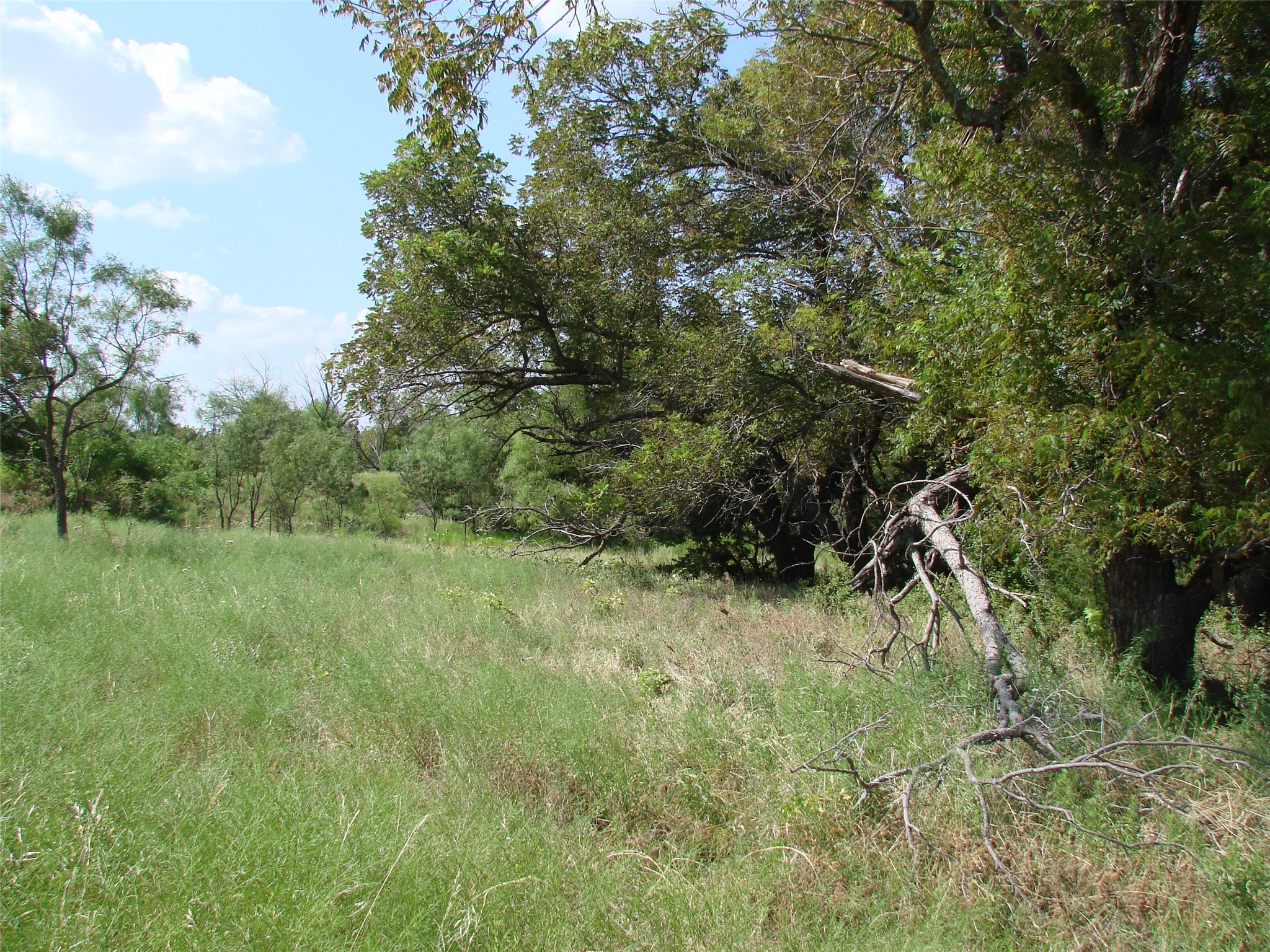 14653 Us Highway 277 Wingate TX 79566