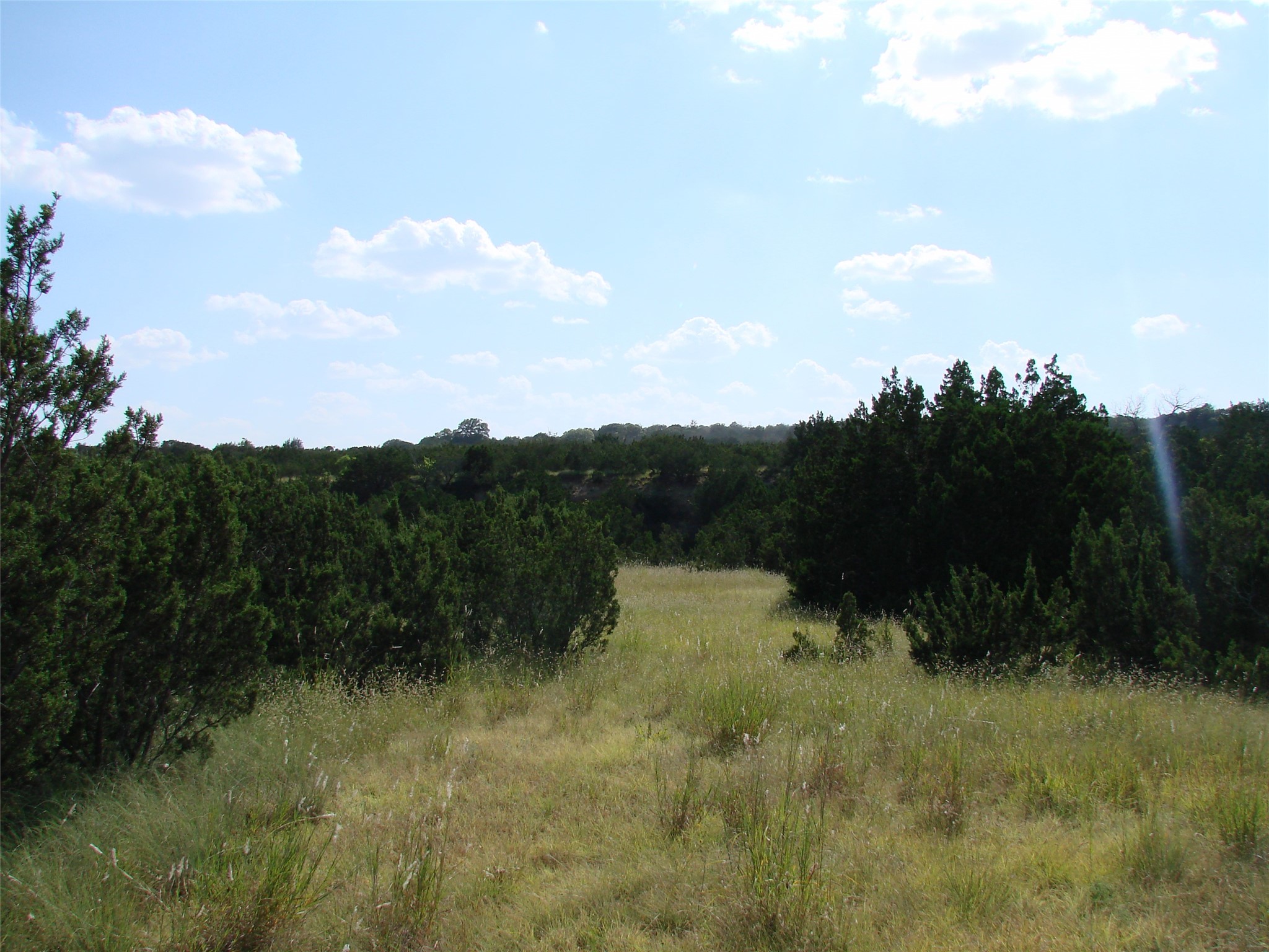 14653 Us Highway 277 Wingate TX 79566