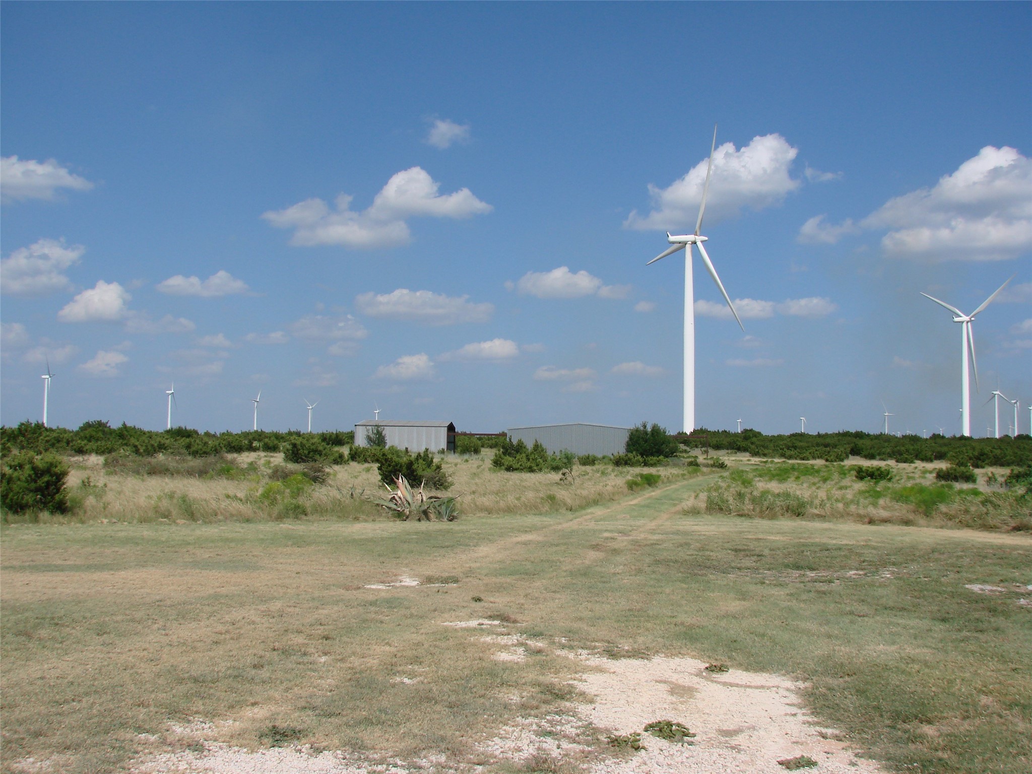 14653 Us Highway 277 Wingate TX 79566