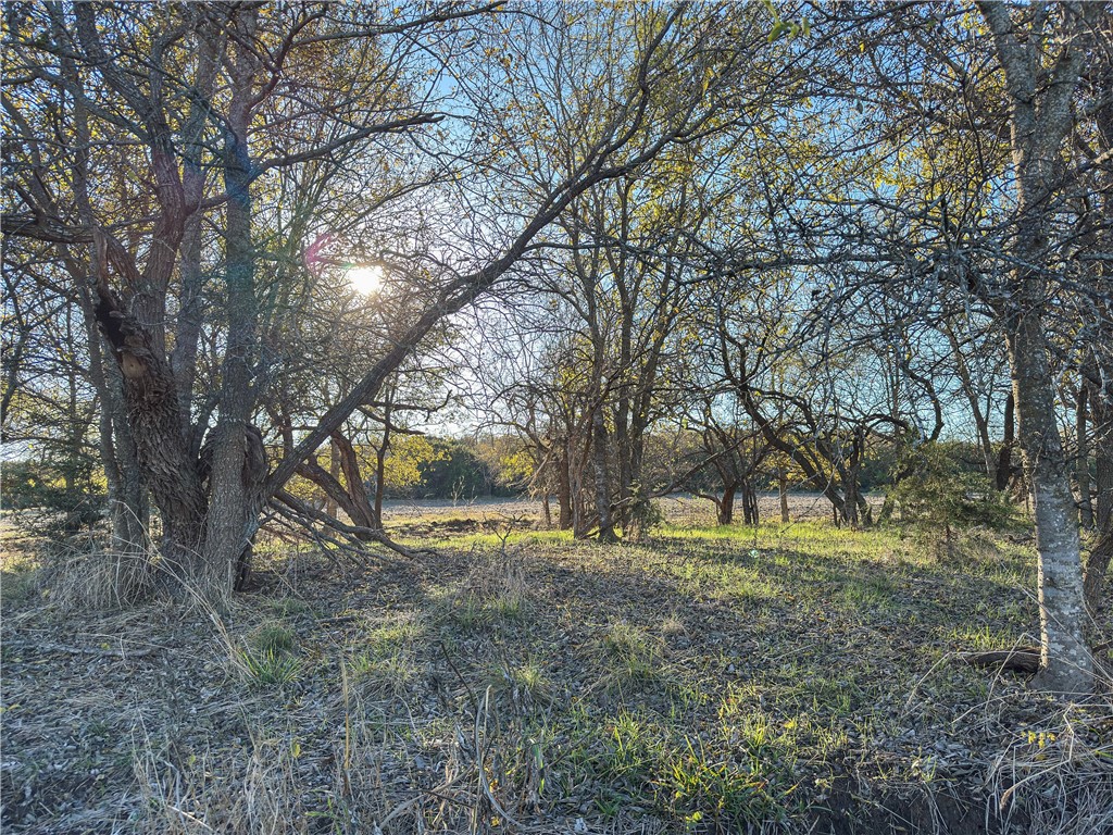 Tbd Tract 4 Talbert Ranch Road China Spring TX 76633