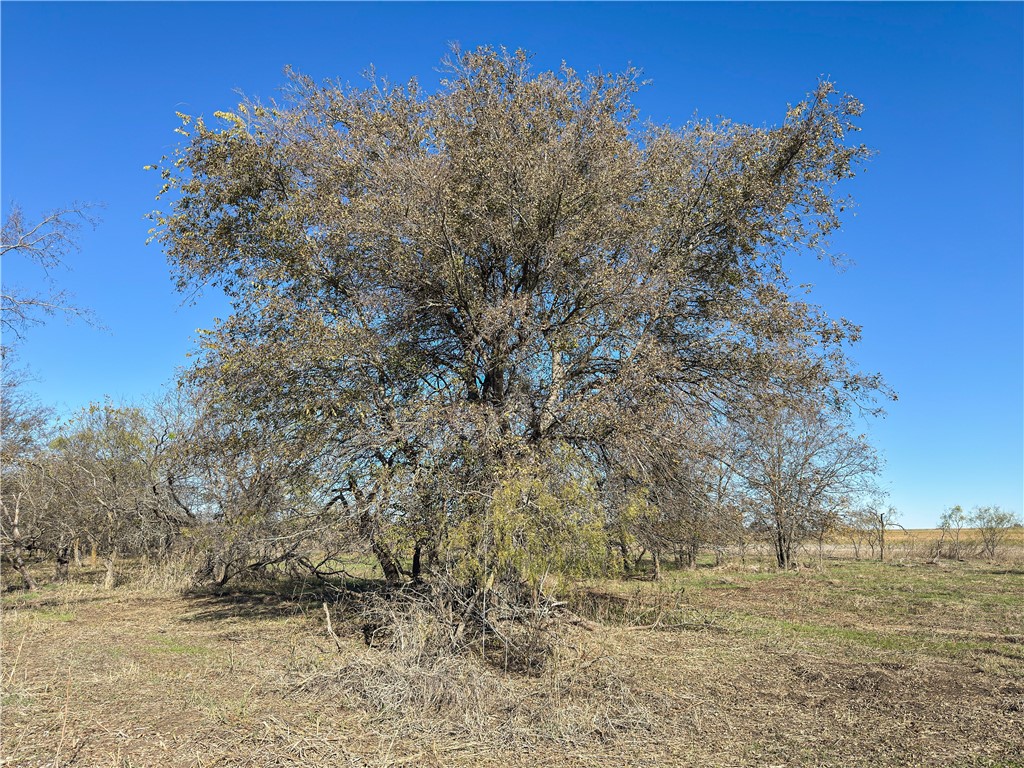 Tbd Tract 4 Talbert Ranch Road China Spring TX 76633