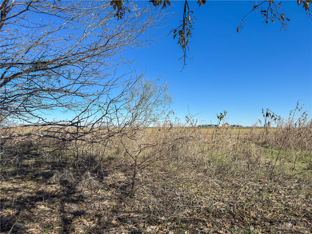 Tbd Tract 4 Talbert Ranch Road China Spring TX 76633