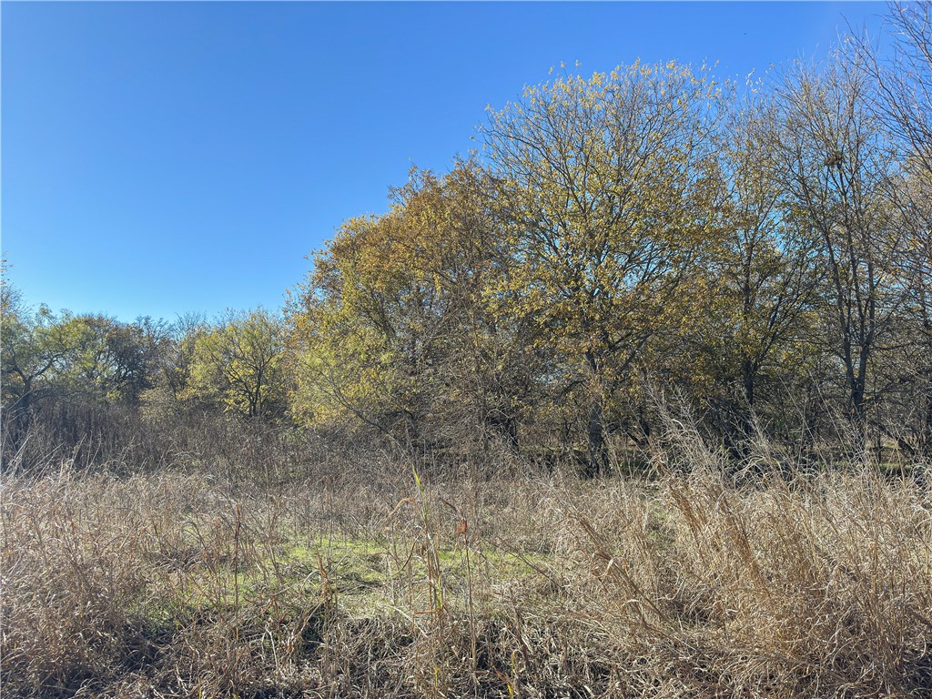 Tbd Tract 4 Talbert Ranch Road China Spring TX 76633