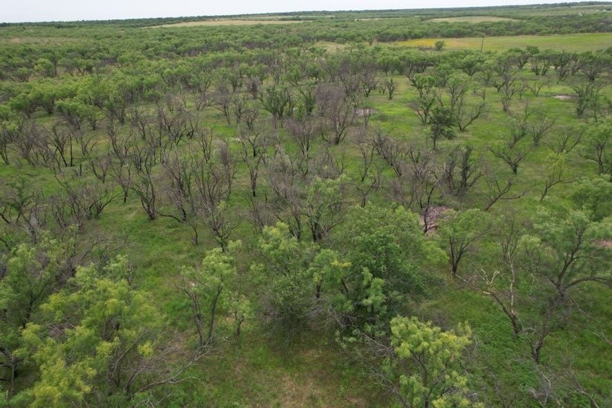 Tbd Fm 600 Anson TX 79501