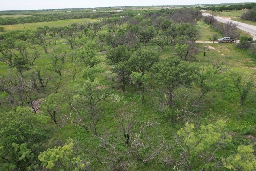 Tbd Fm 600 Anson TX 79501