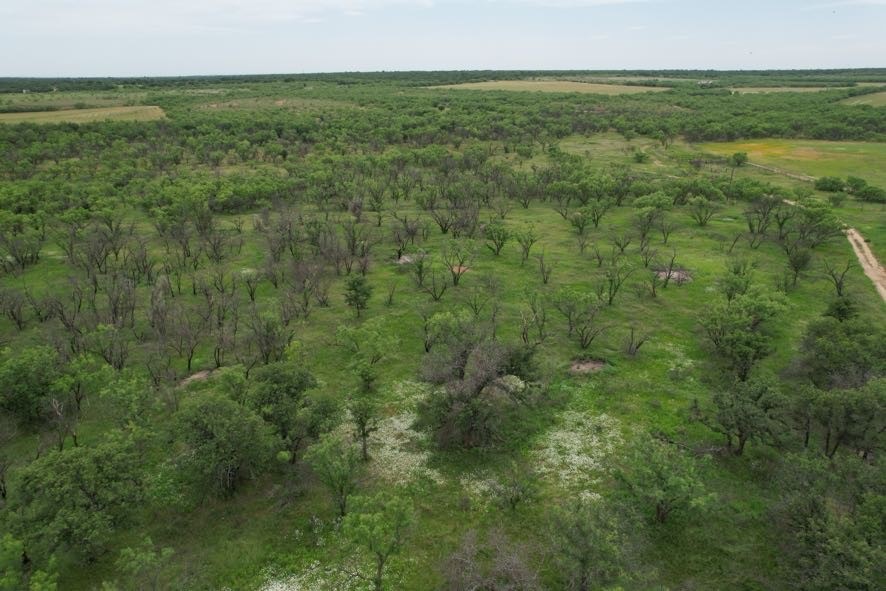Tbd Fm 600 Anson TX 79501