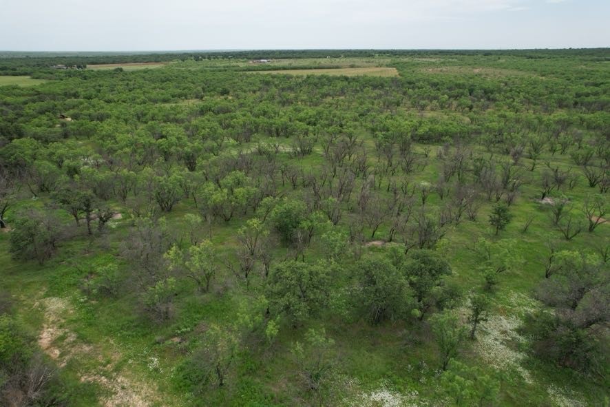 Tbd Fm 600 Anson TX 79501