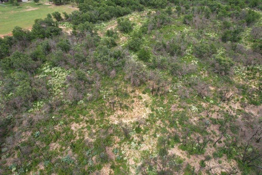 Tbd Fm 600 Anson TX 79501