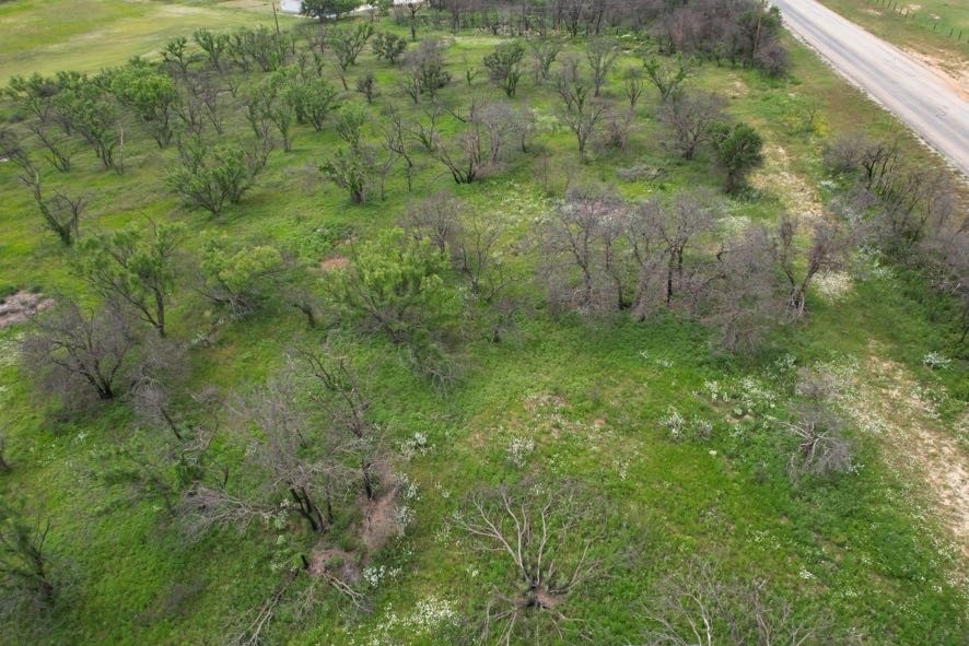 Tbd Fm 600 Anson TX 79501