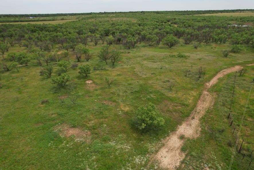 Tbd Fm 600 Anson TX 79501