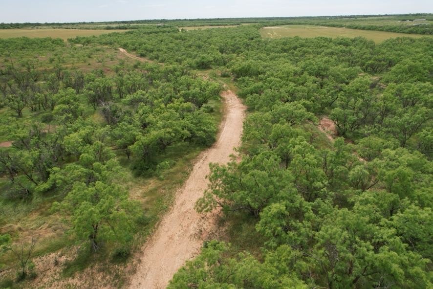 Tbd Fm 600 Anson TX 79501