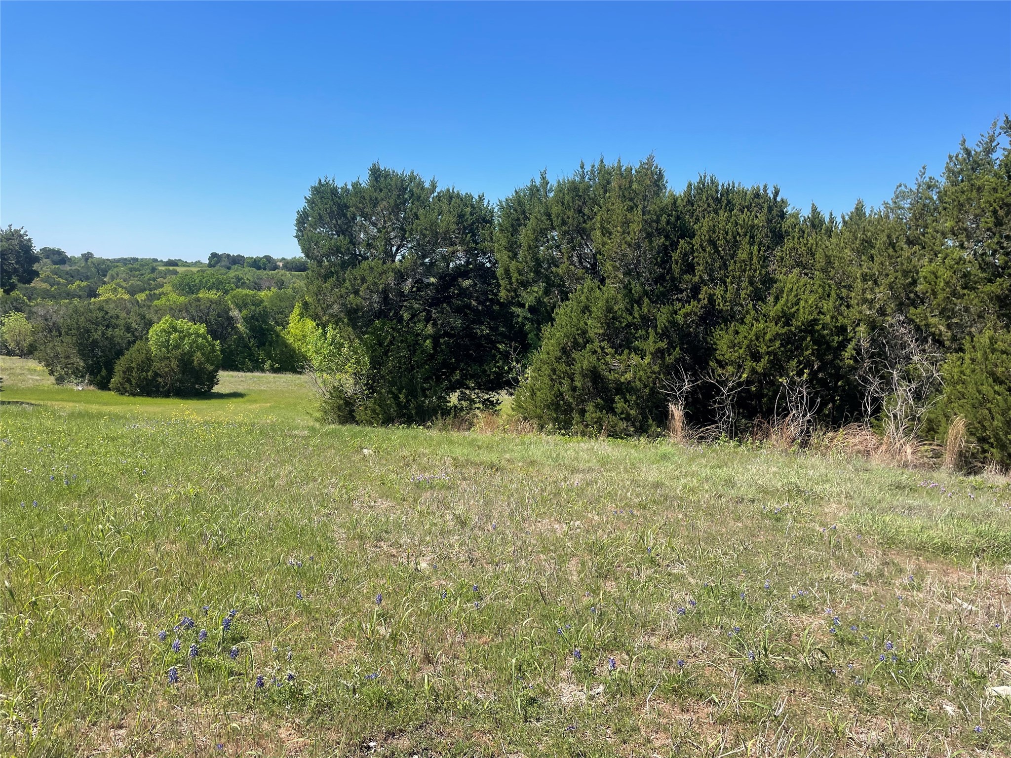 8136 Retreat Boulevard Cleburne TX 76033