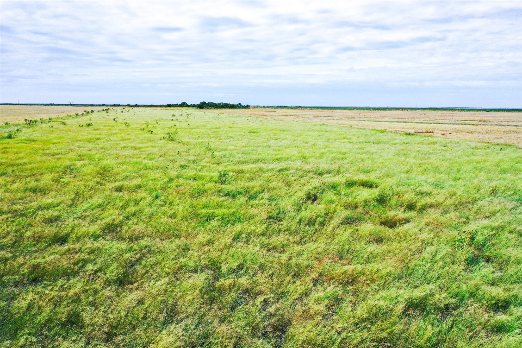 Tbd Cr 223 Weinert TX 76388