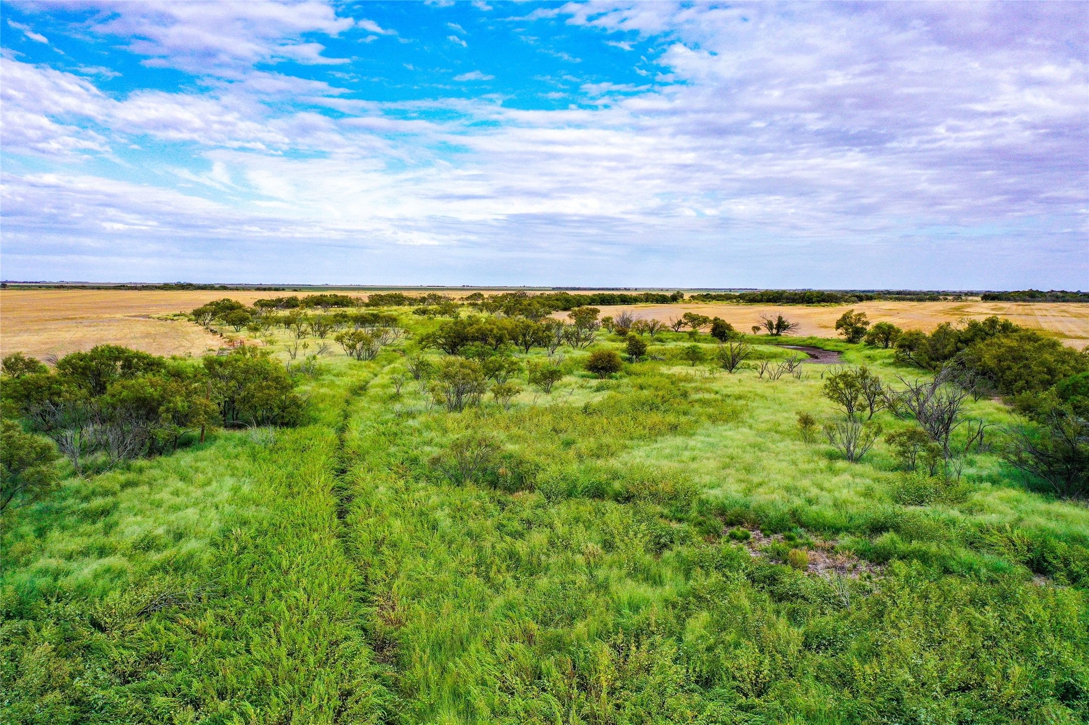 Tbd Cr 223 Weinert TX 76388