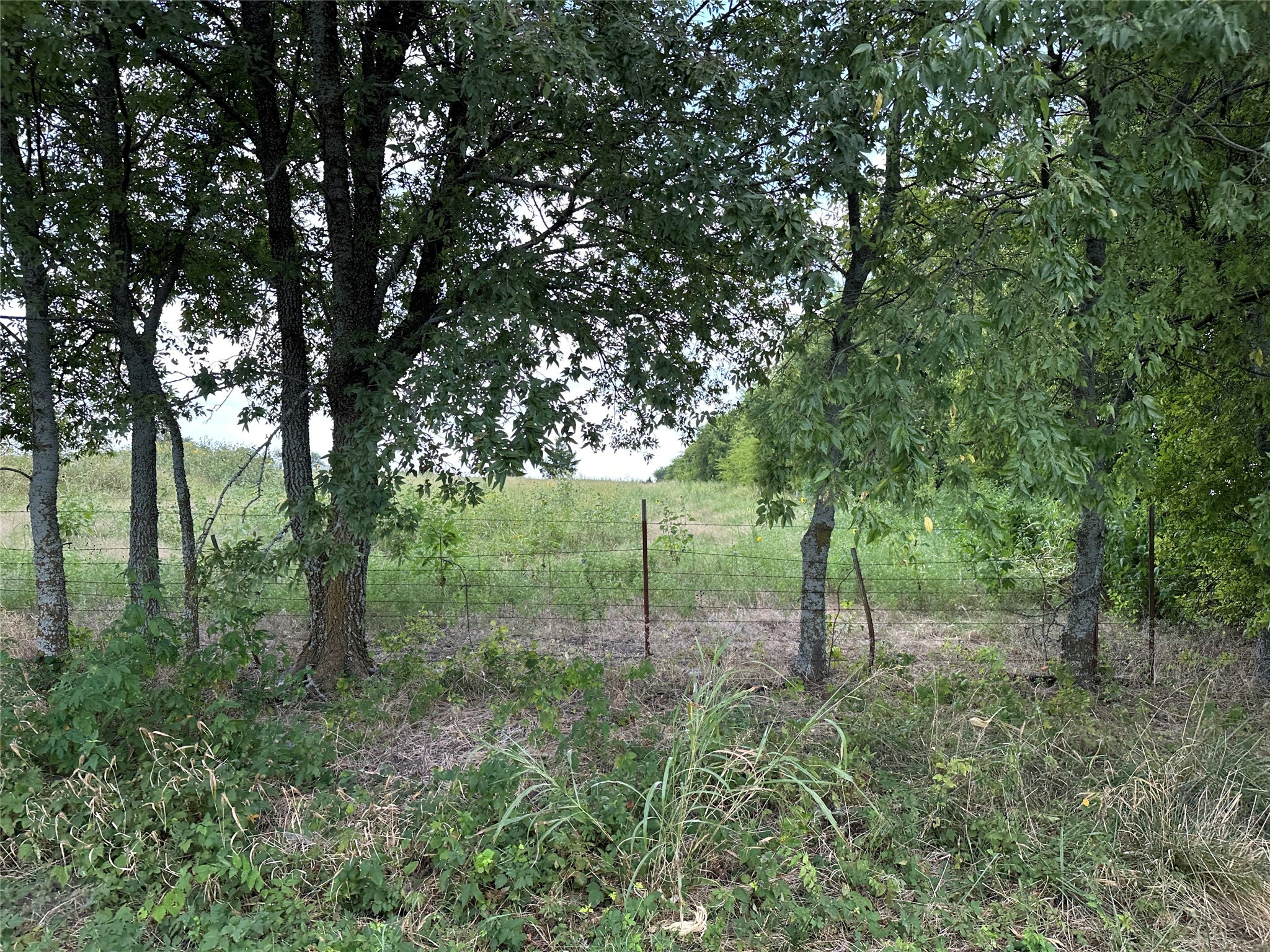 Lot 1 Rutledge Road Whitewright TX 75491