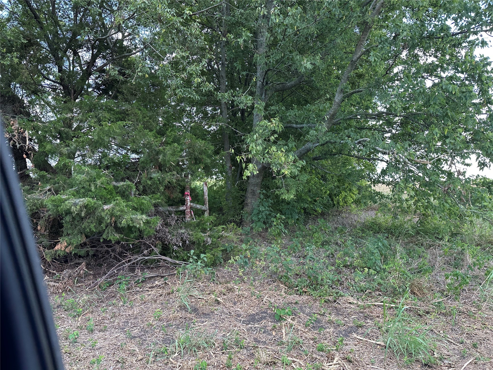 Lot 1 Rutledge Road Whitewright TX 75491