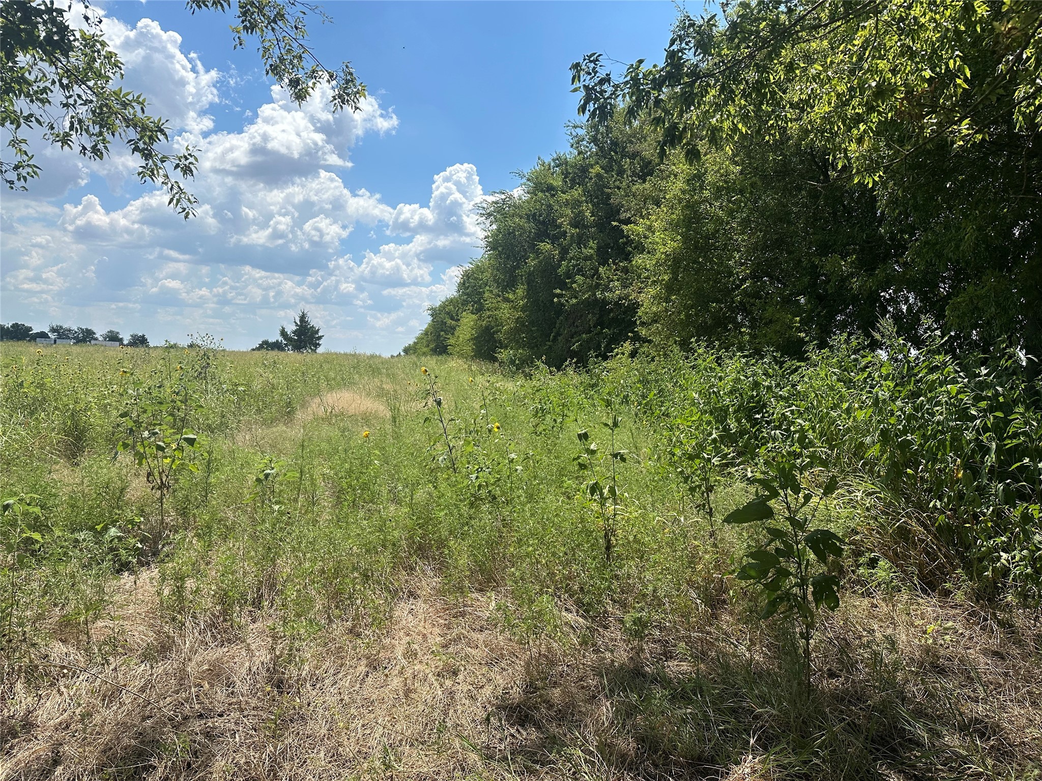 Lot 1 Rutledge Road Whitewright TX 75491