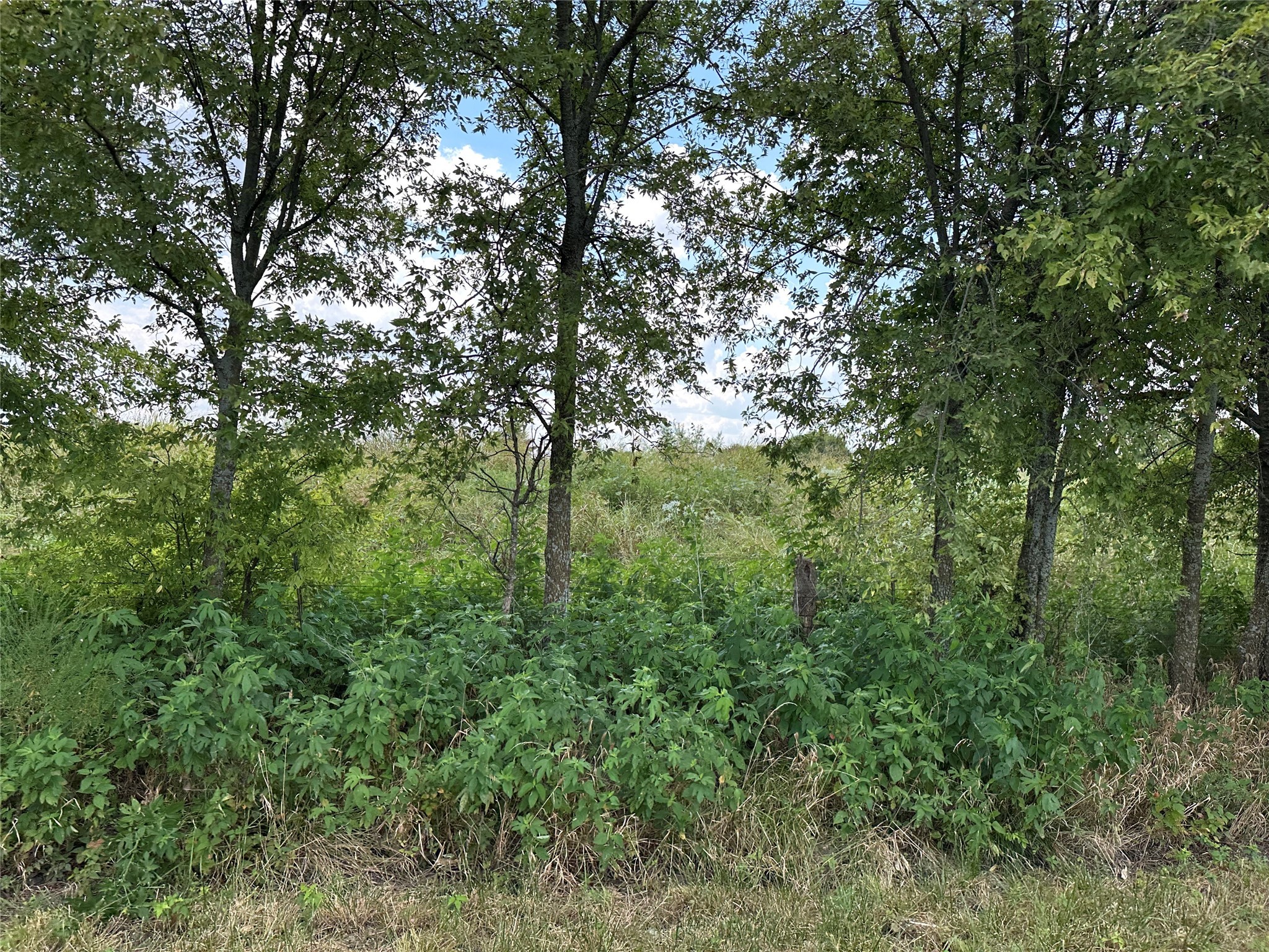 Lot 1 Rutledge Road Whitewright TX 75491